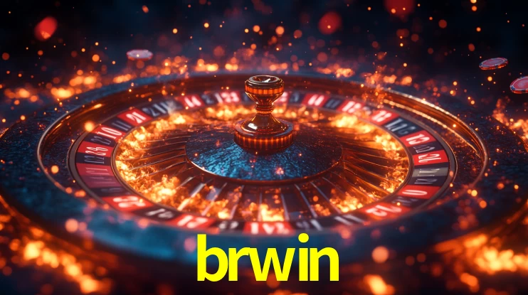 brwin App Interface